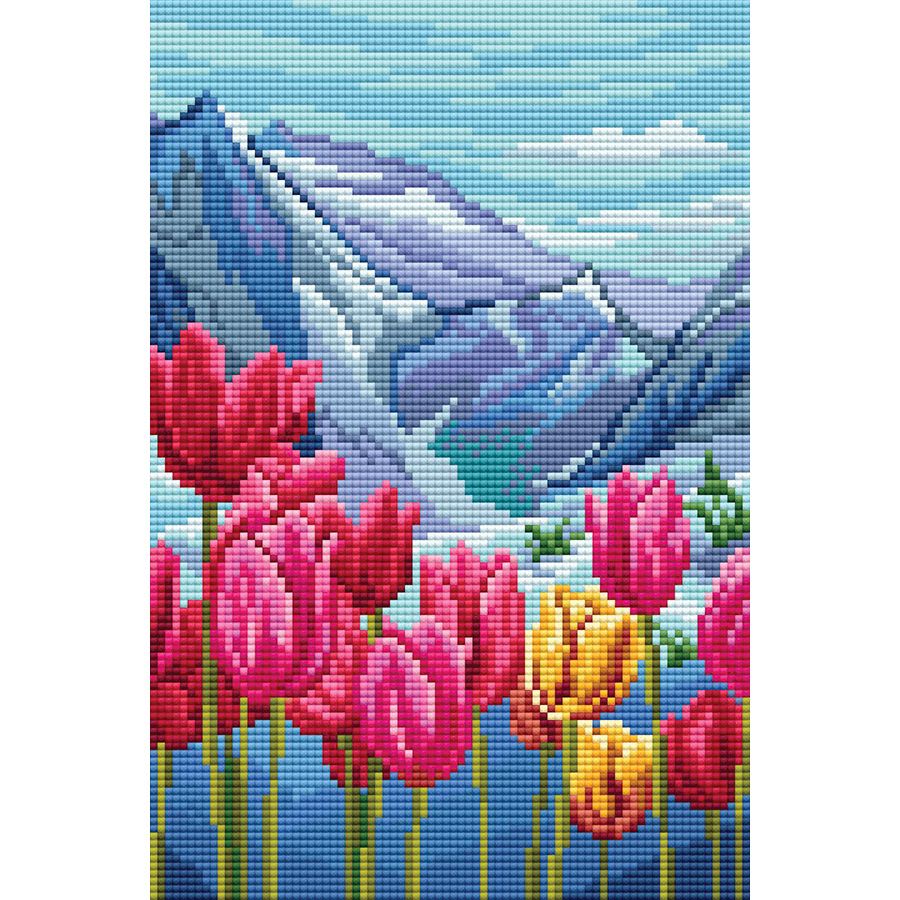 Tulipani