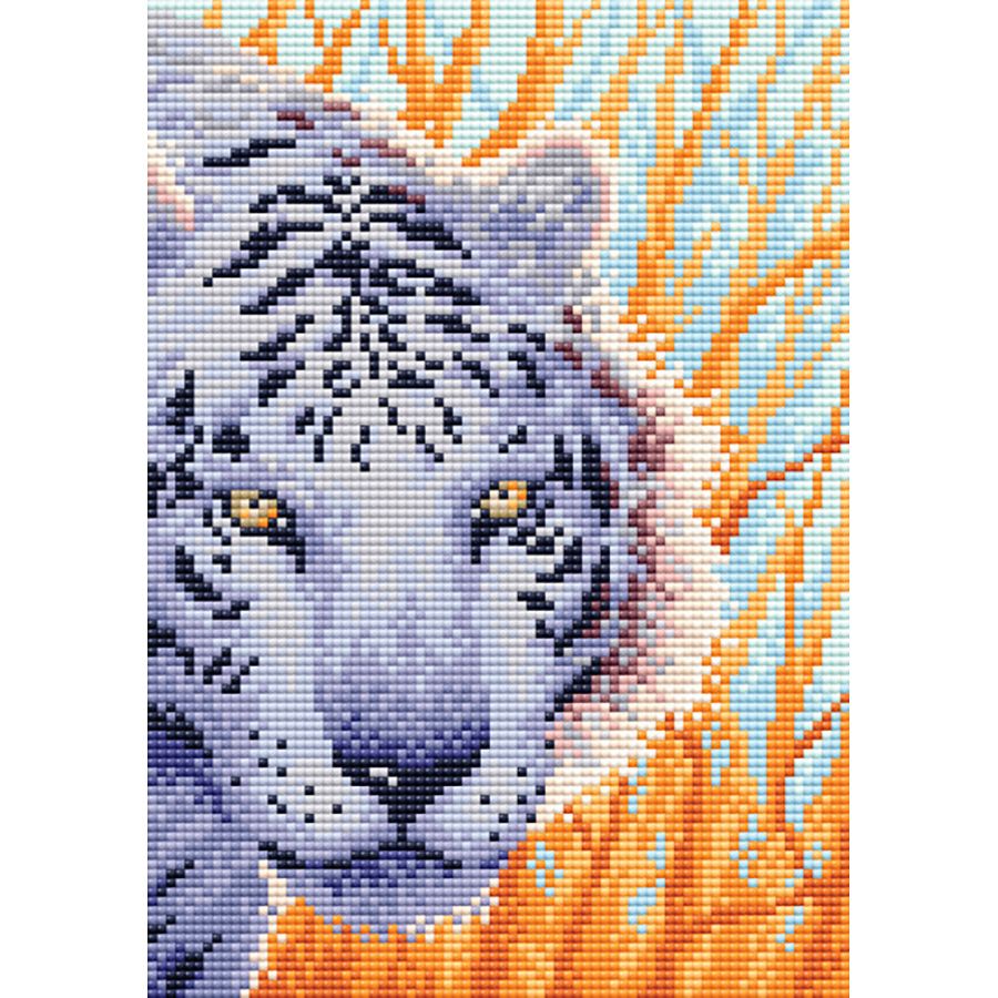 Sguardo di tigre