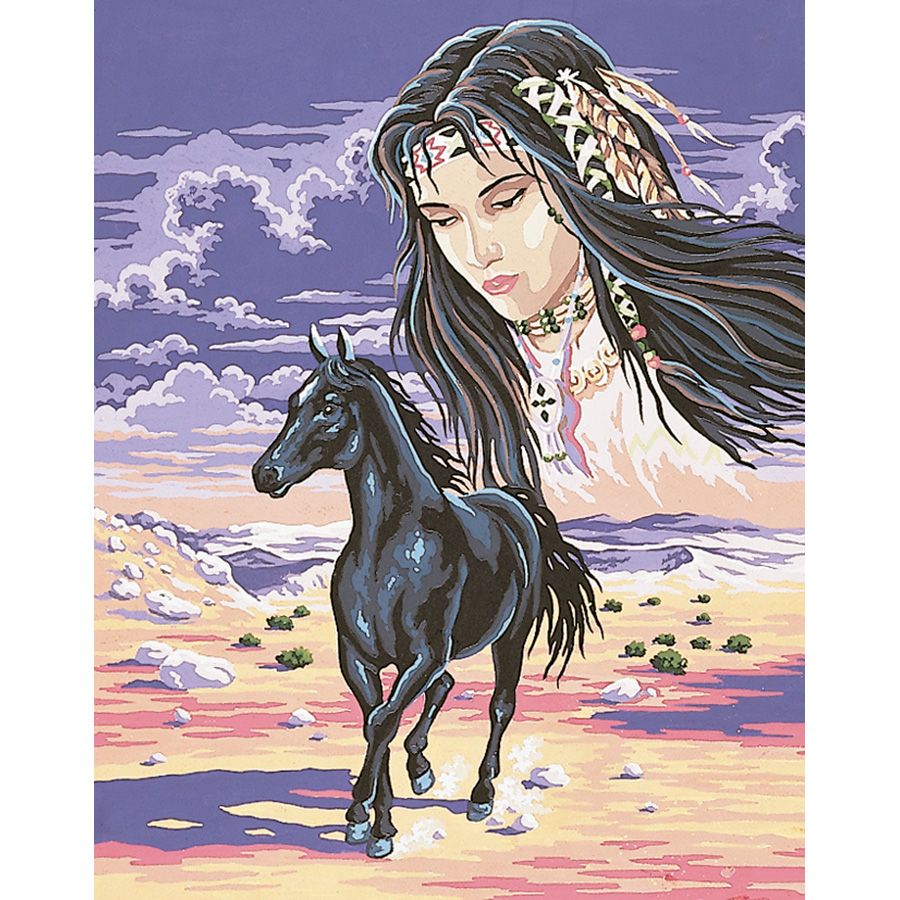 Cavallo degli Indiani d'America