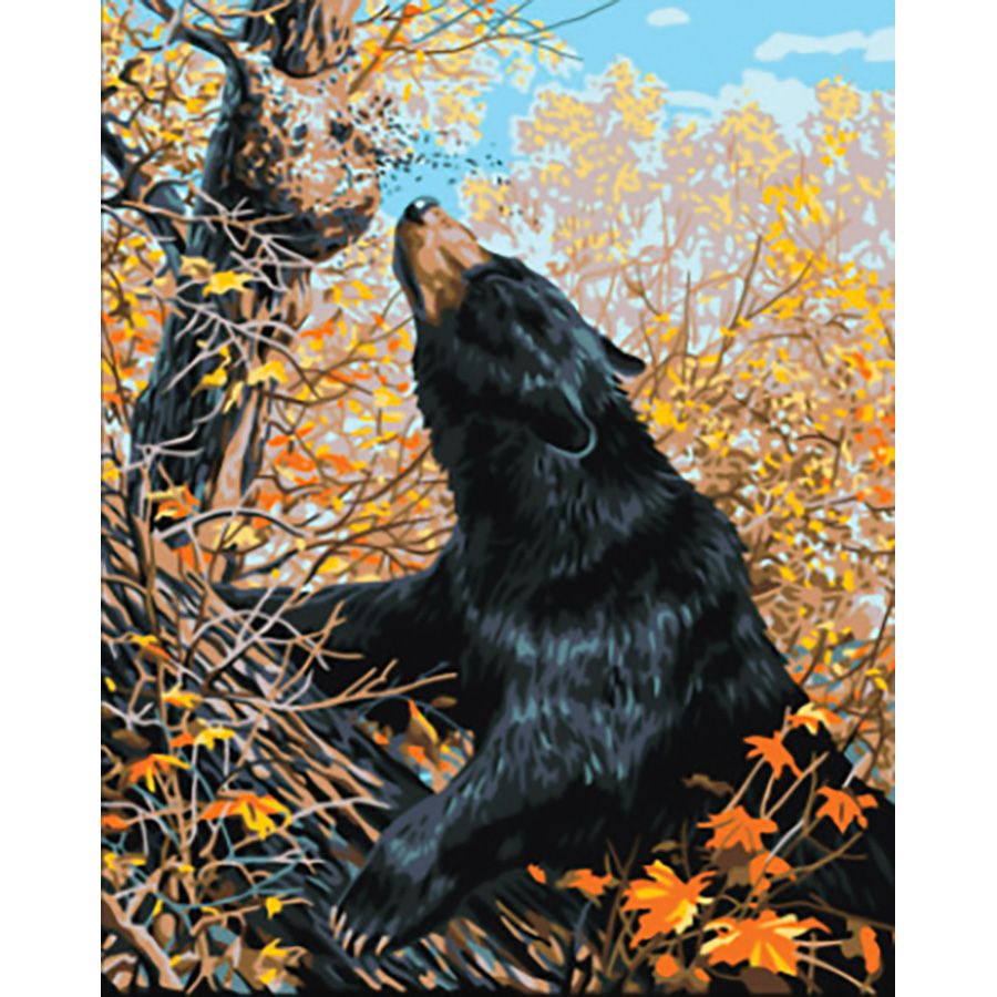 L'orso nero