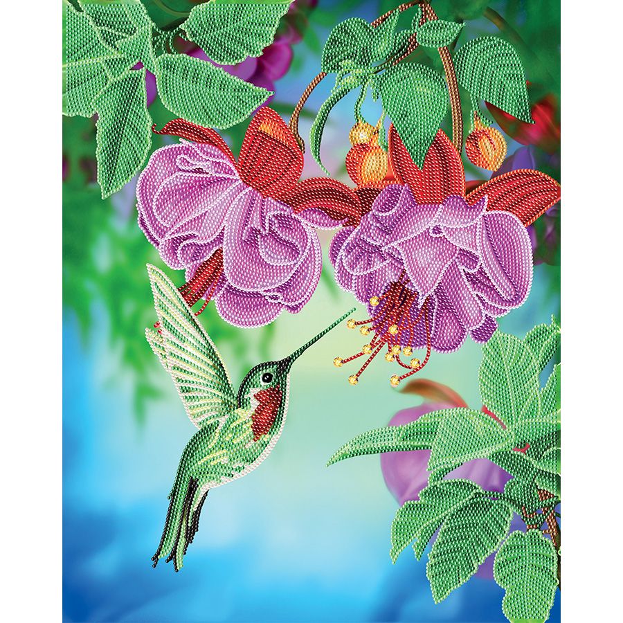 Colibrì