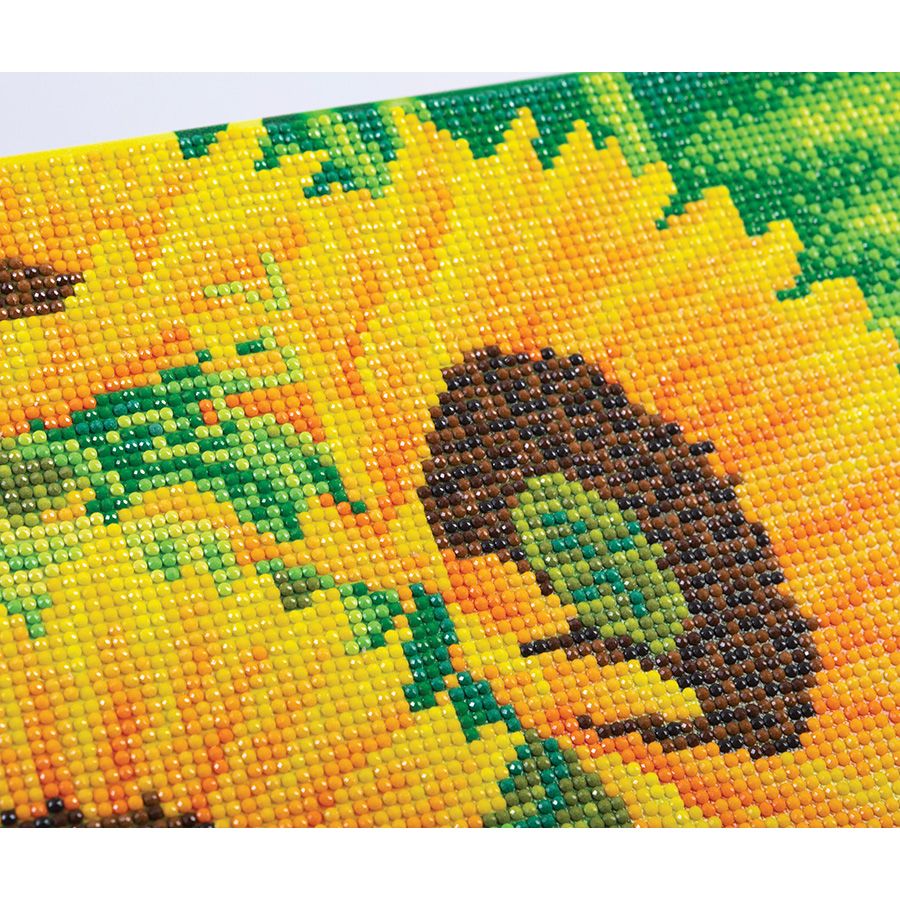 La gioia del girasole