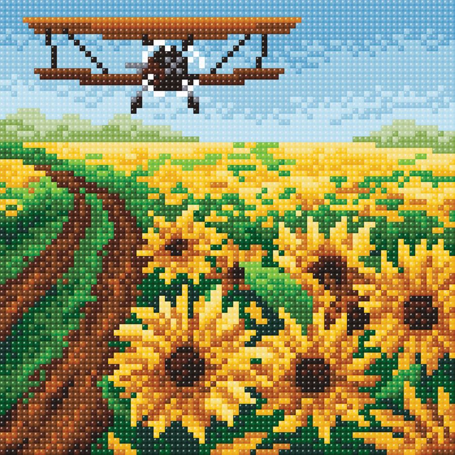 Campo di girasoli