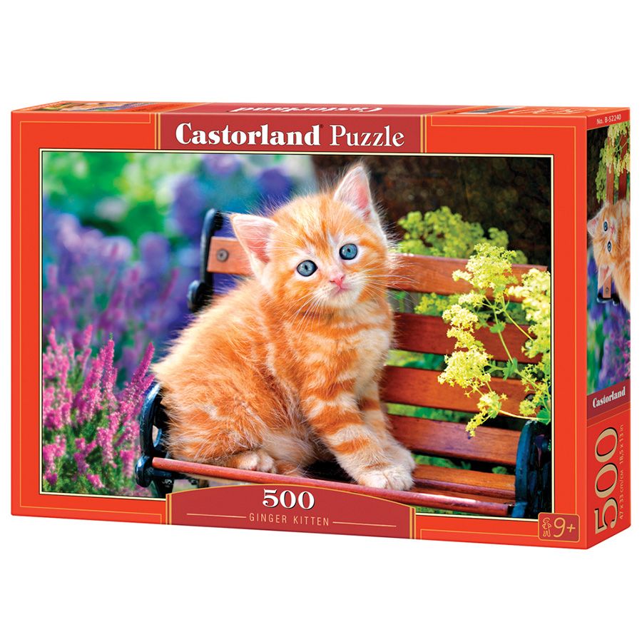 Gattino rosso