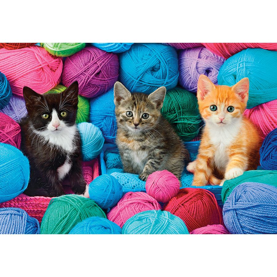 Gattini in un negozio di lana