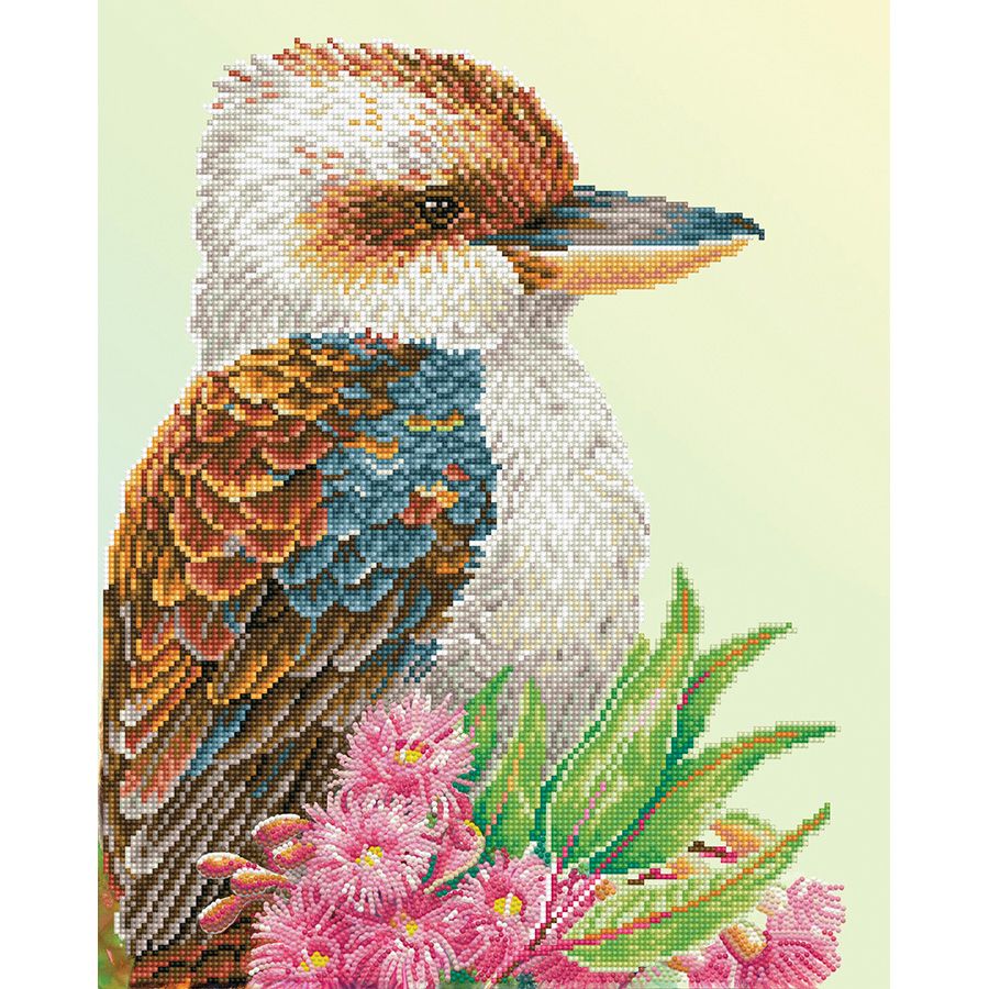 Kookaburra e Fiore di Gomma