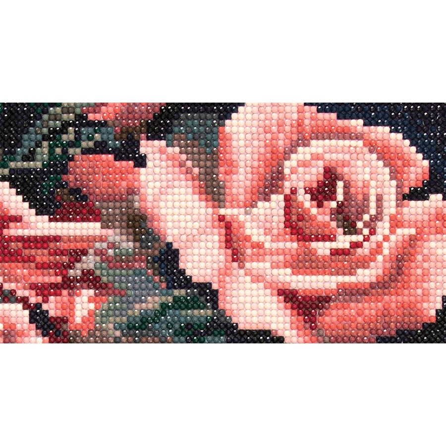 Rose e colibrì