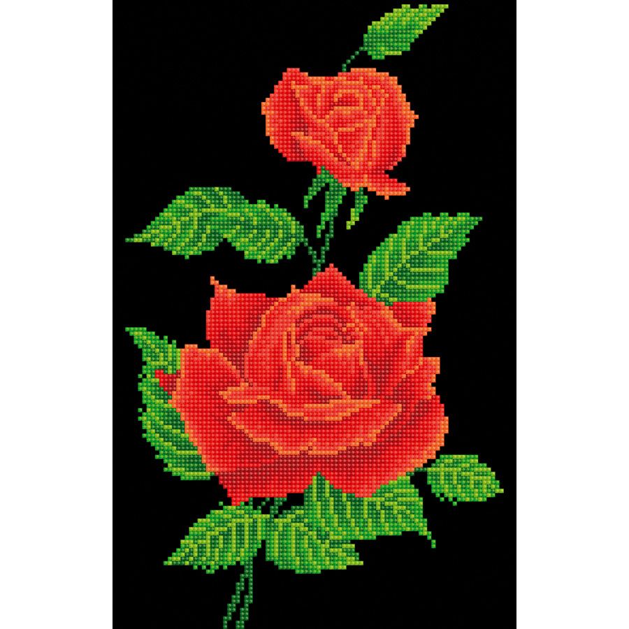 Rose rosse