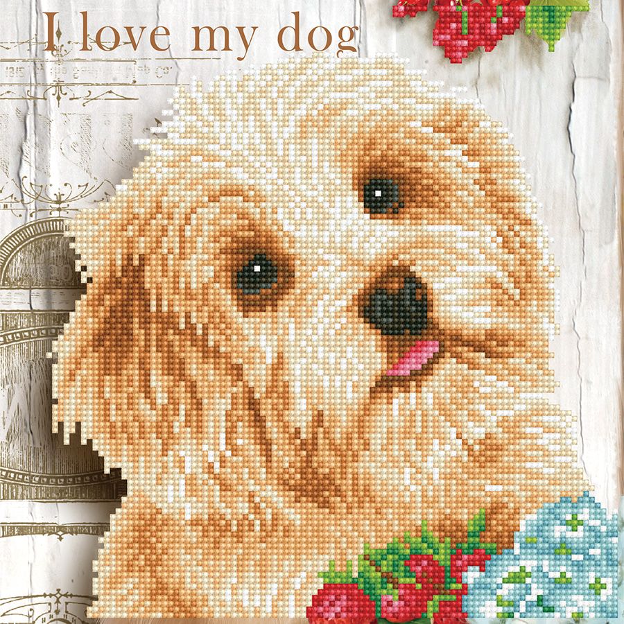 Amo il mio cane