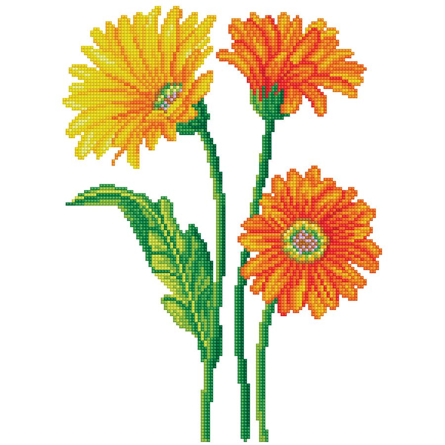 Fiori gialli e arancioni