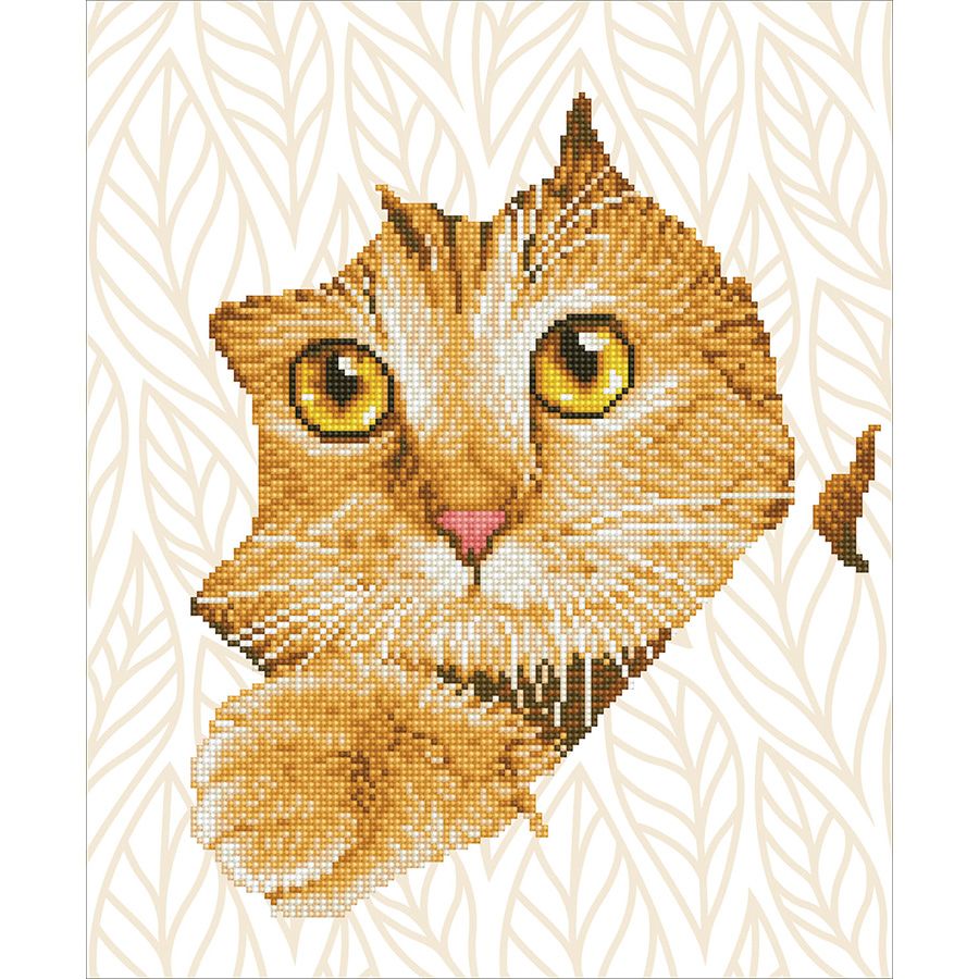 Lo sguardo del gattino