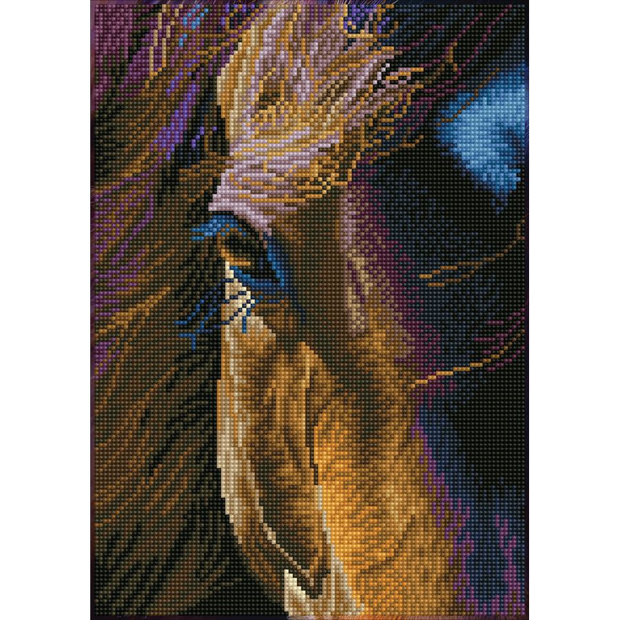 Sguardo del cavallo