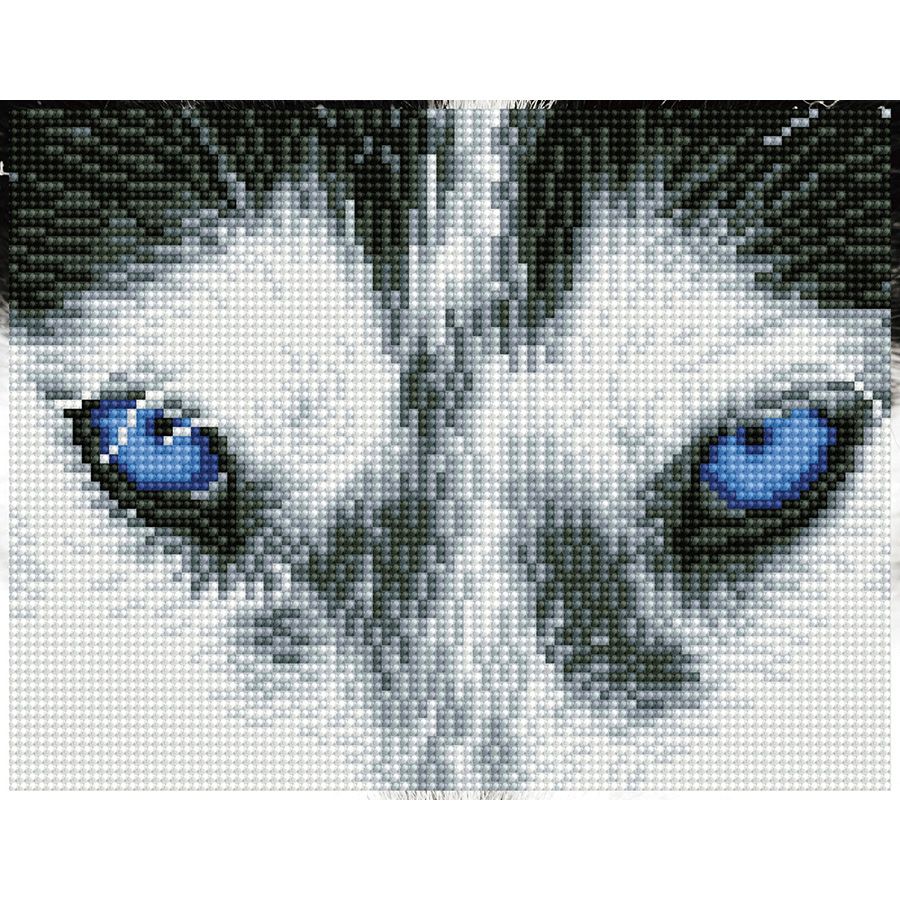 Husky misterioso