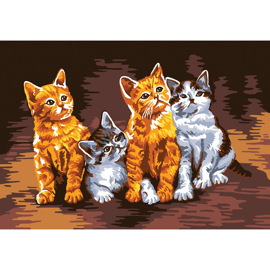 Banda di gatti