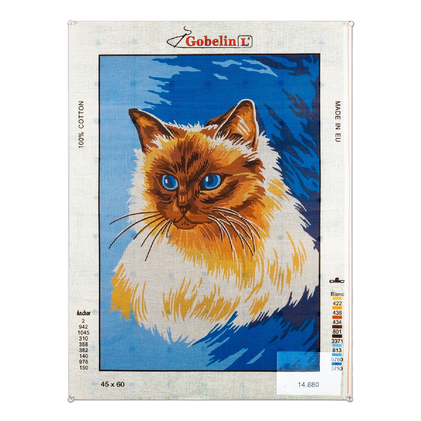 Gatto Siamese