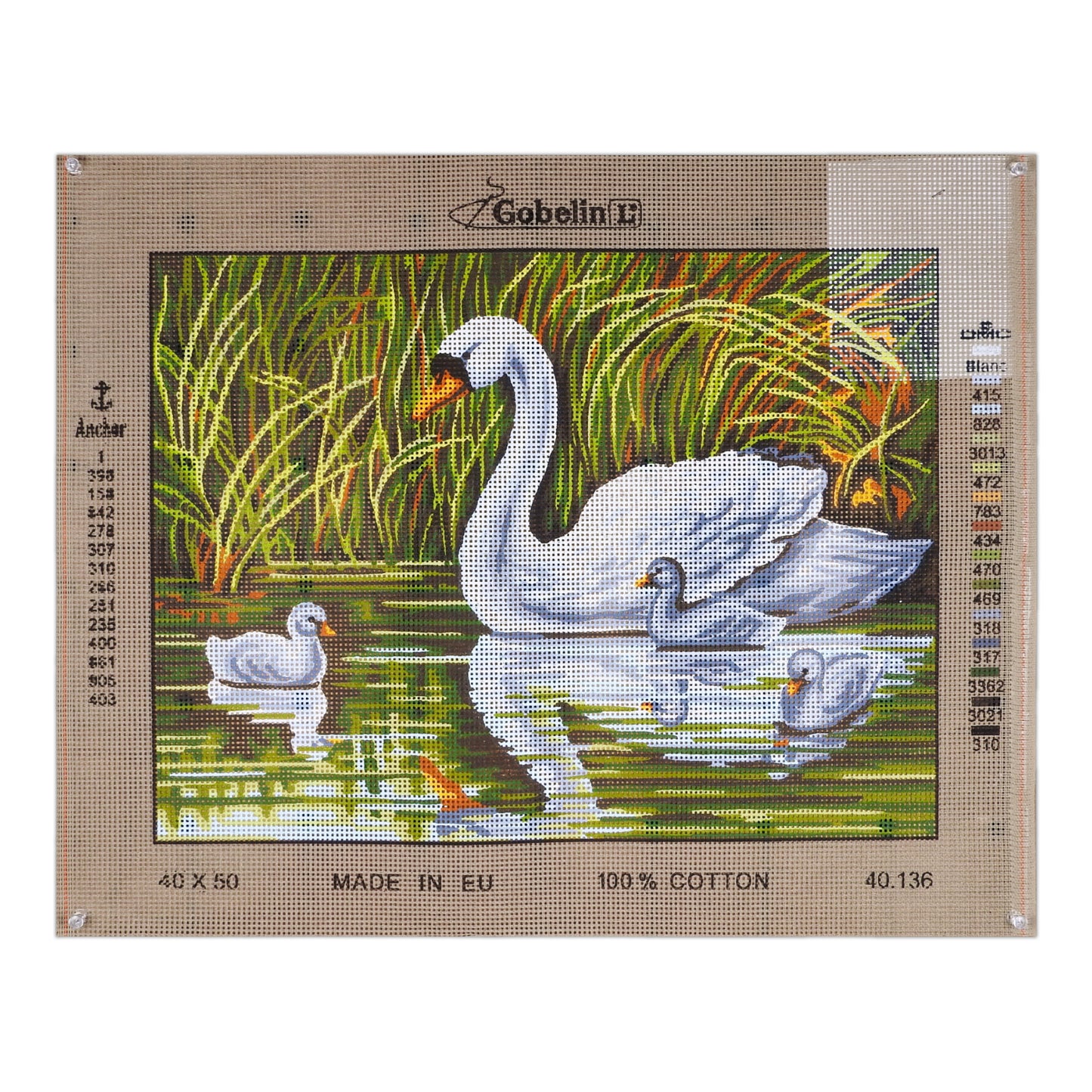 Il cigno e i suoi cuccioli