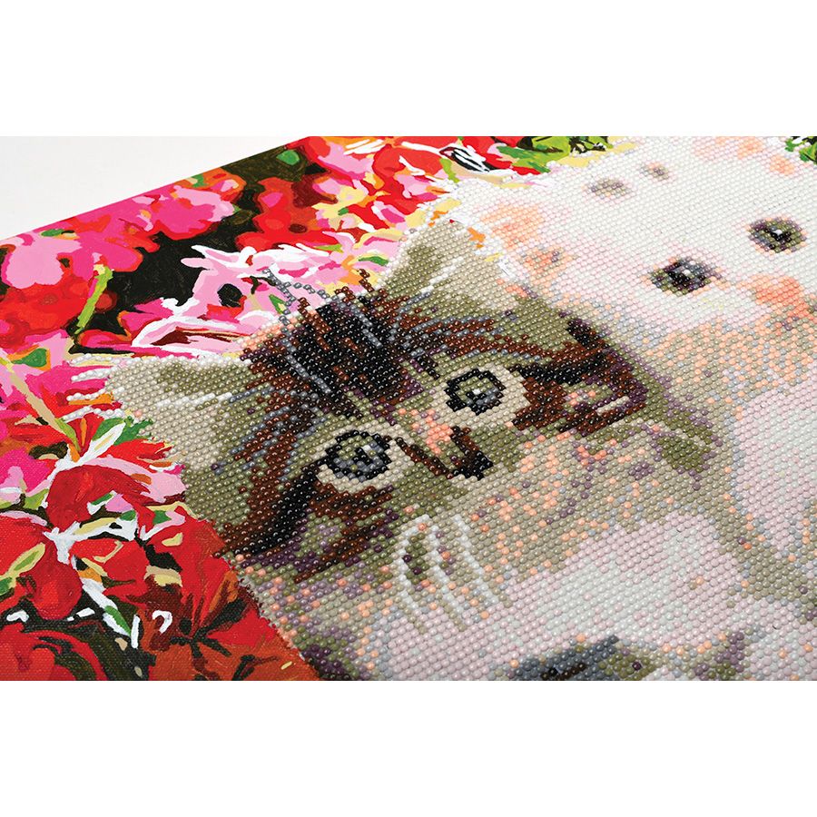 Gattini nel vaso di fiori