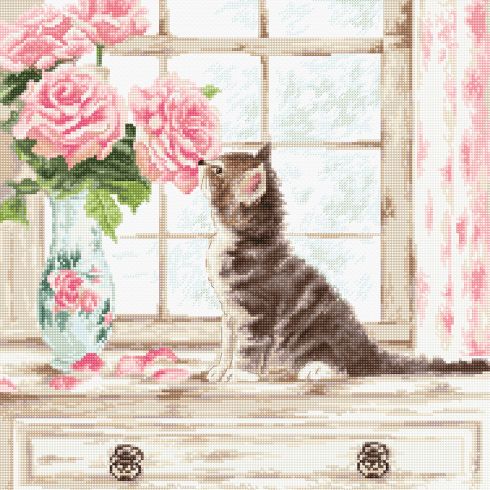 Gattino che annusa le rose