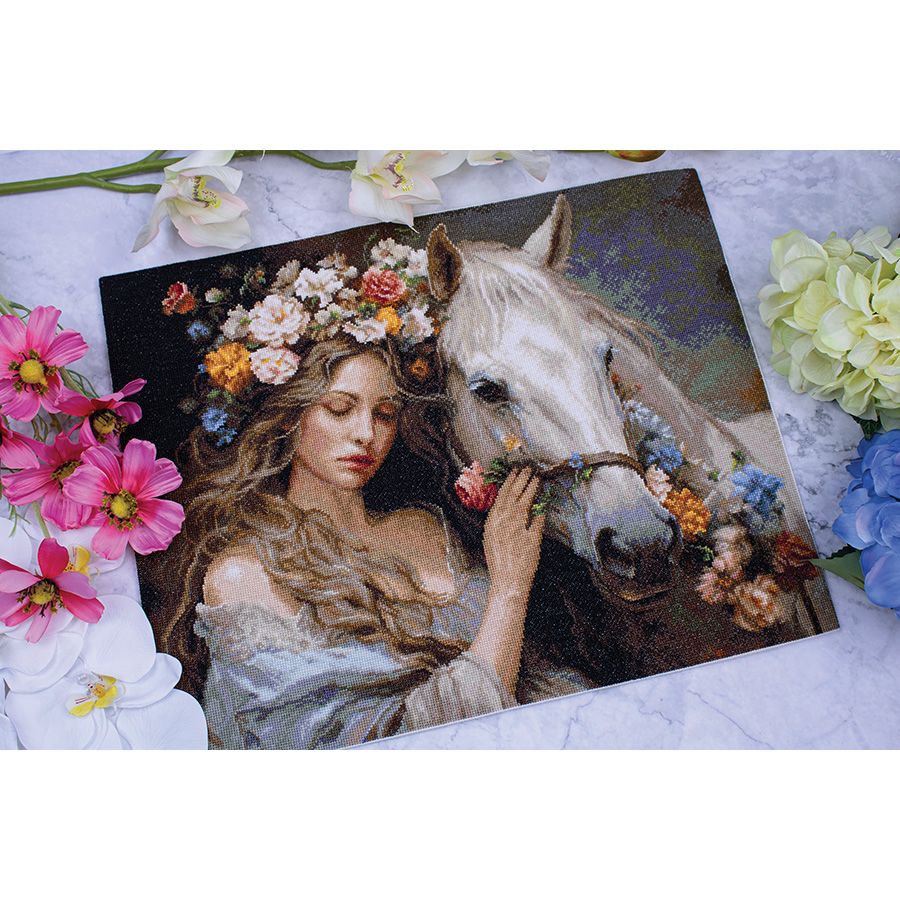 La ragazza e il cavallo