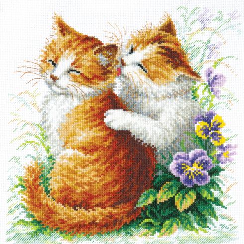 Gatti affettuosi