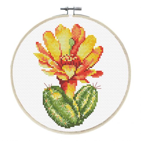 Cactus e fiore giallo