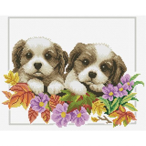 I cagnolini sui fiori