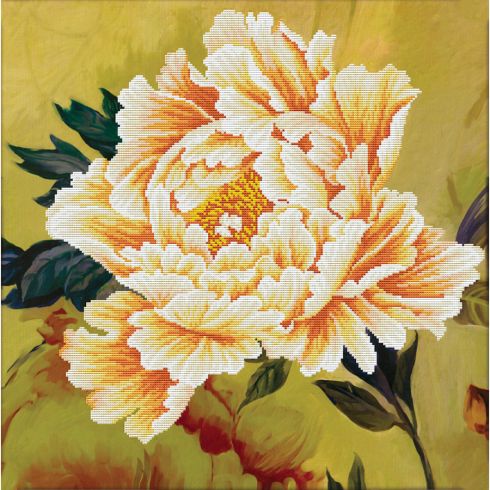 Fiore giallo