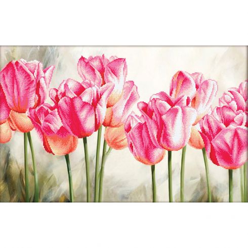 Tulipani rosa