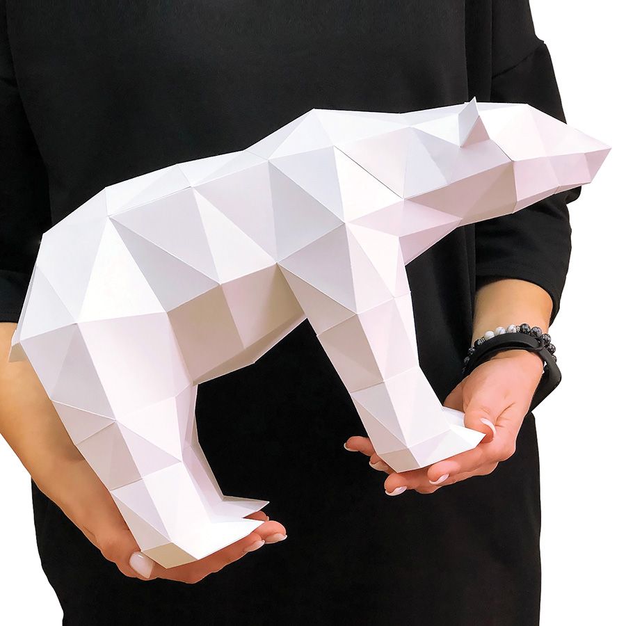 Orso polare