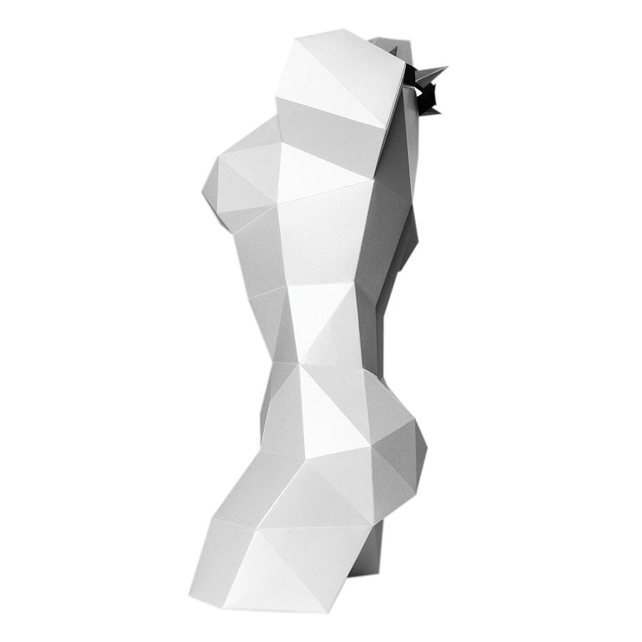 Busto bianco