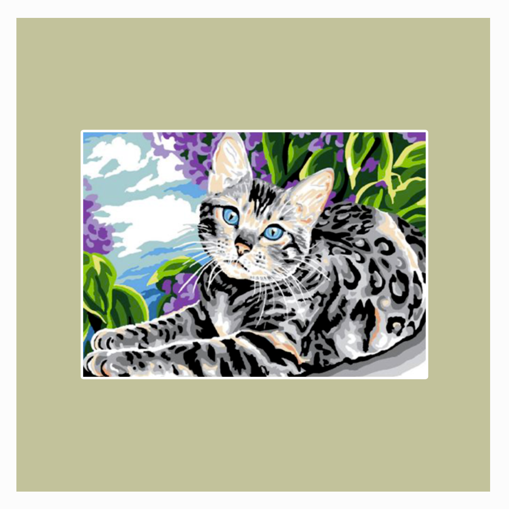 Kit Punto Croce Gatto Bianco – Ricamo Su Tela Aida 14 Grigia 17,5x28 Cm - 4