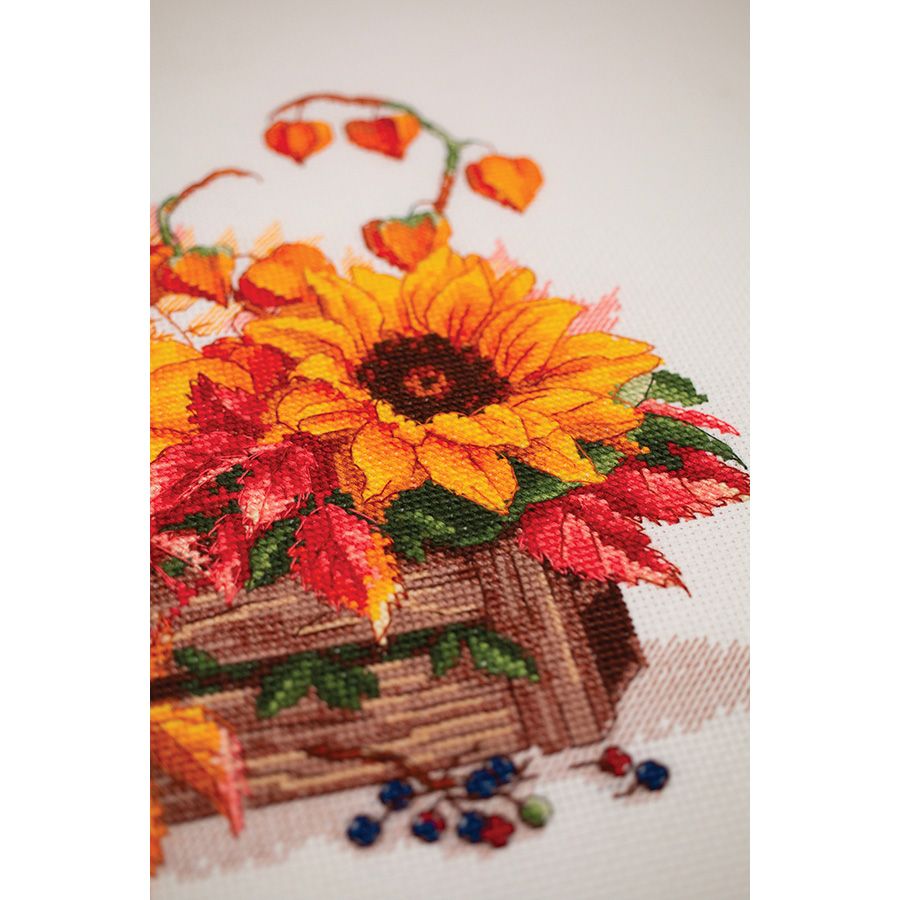 Zucca e girasole