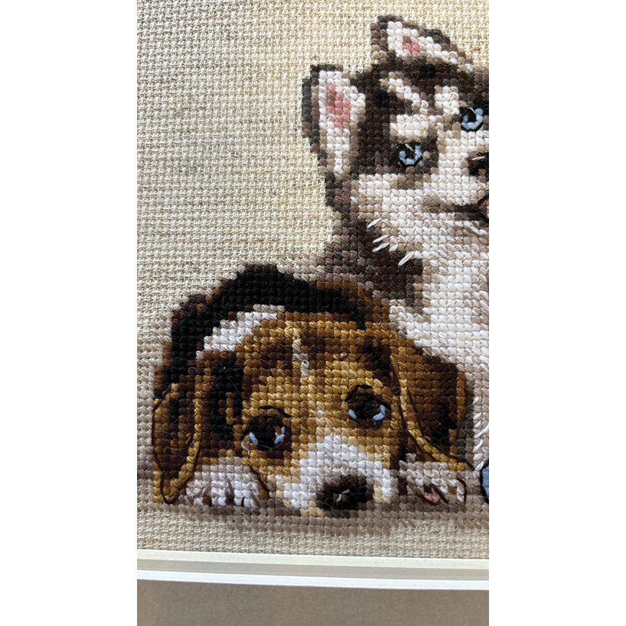 Cuccioli