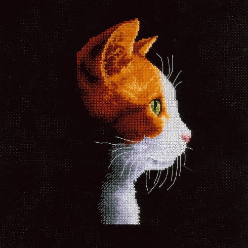 Gatto di profilo