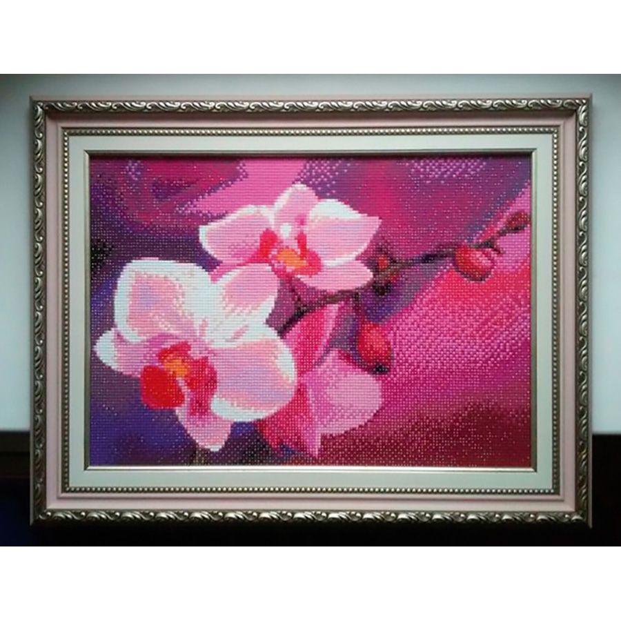 Ramo di orchidee