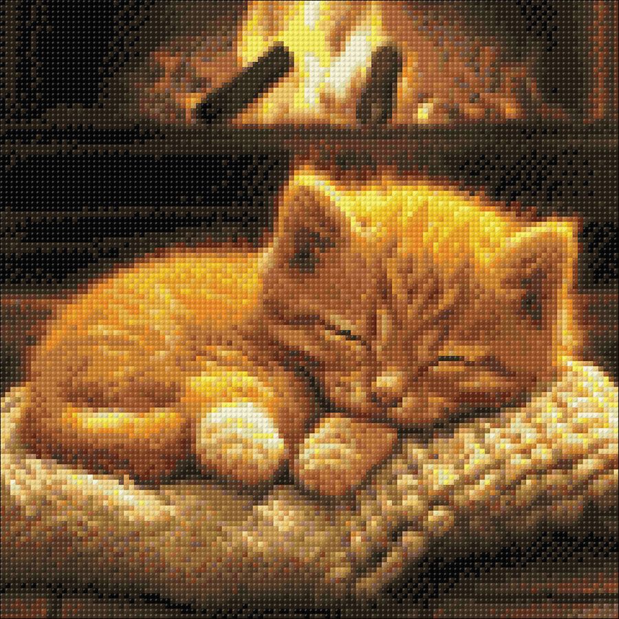 Gattino addormentato