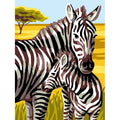 Zebre nella savana