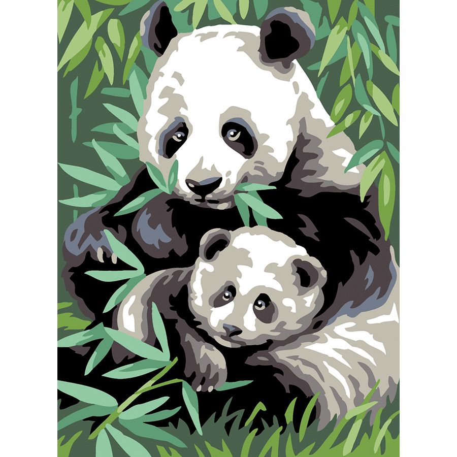I panda e il bambù