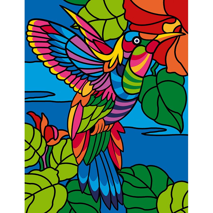 Colibrì colorato