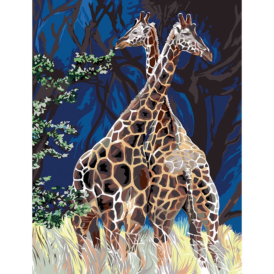 Giraffe di notte