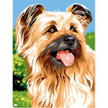 Cairn terrier