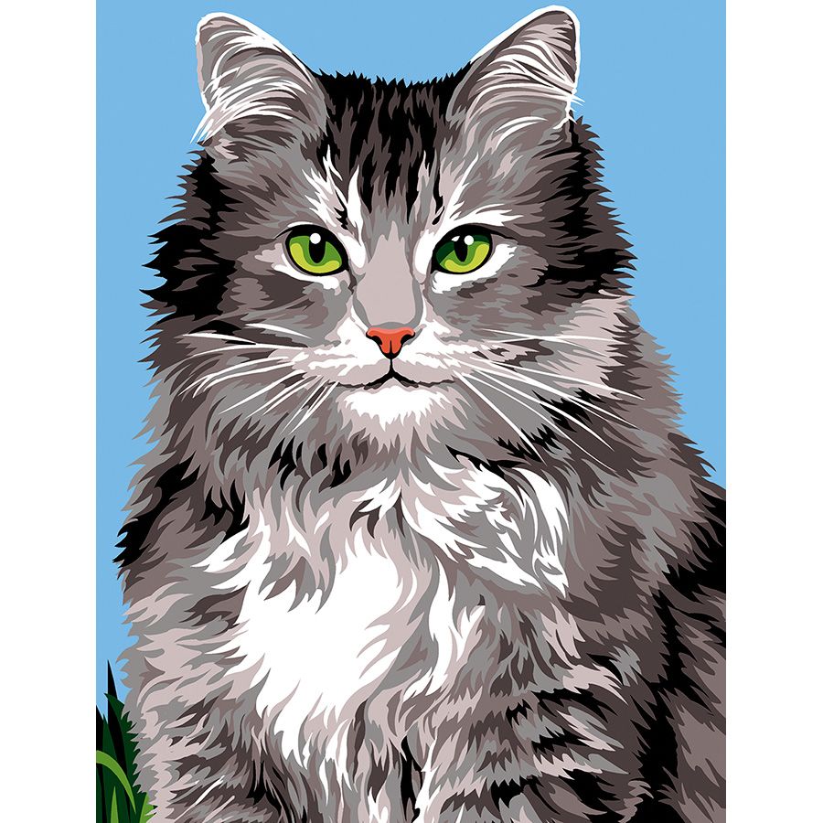 Gatto grigio dagli occhi verdi