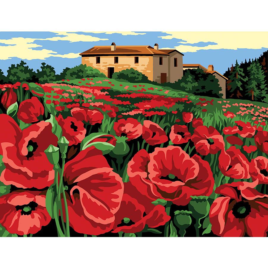 Il campo di fiori rossi