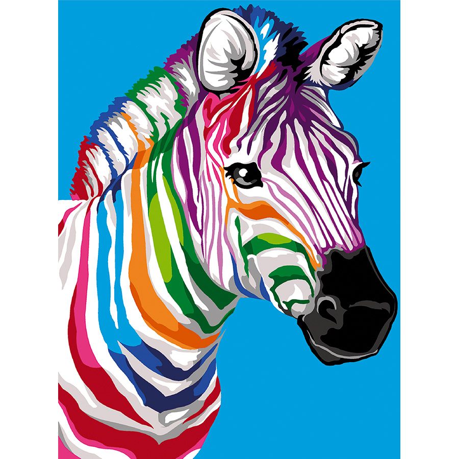 Zebra multicolore
