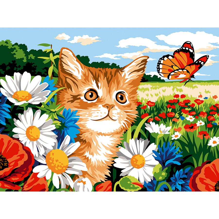 Gatto e farfalla tra le margherite