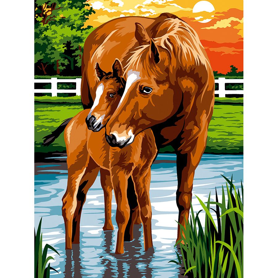 Cavallo con il suo cucciolo al tramonto