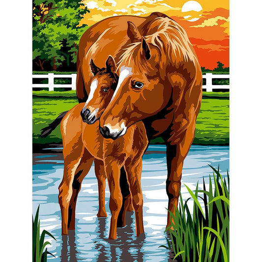 Cavallo con il suo cucciolo al tramonto