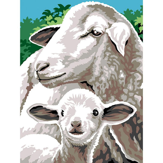 Pecora e agnello