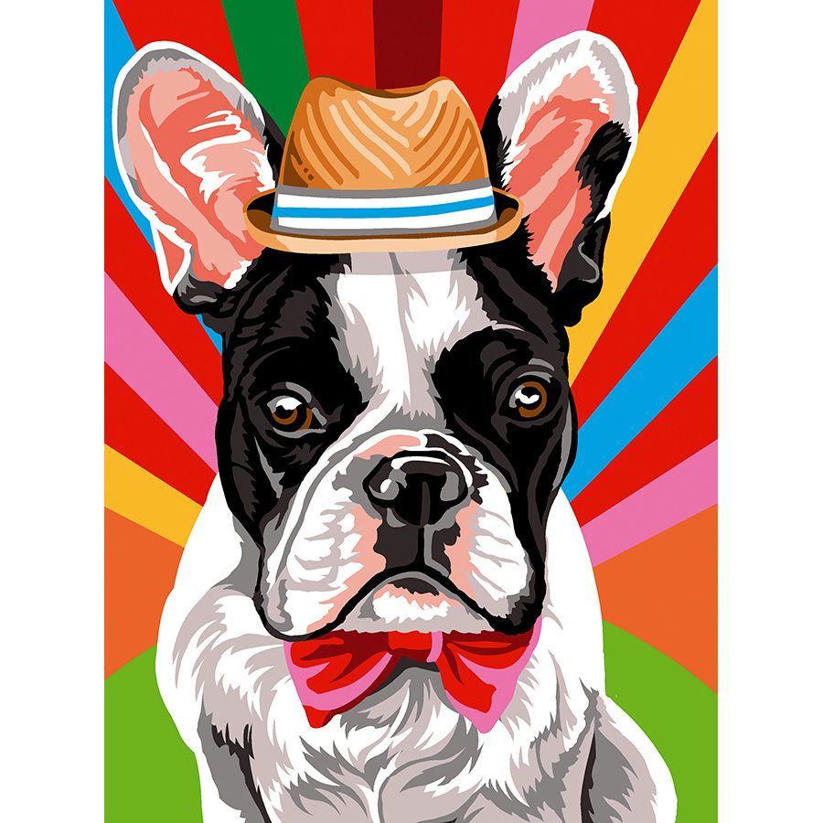 Pitbull francese con cappello e papion