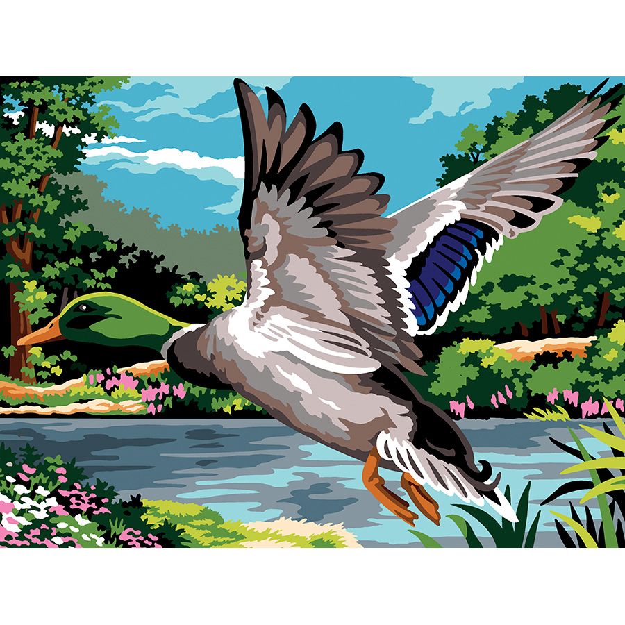 Anatra in volo